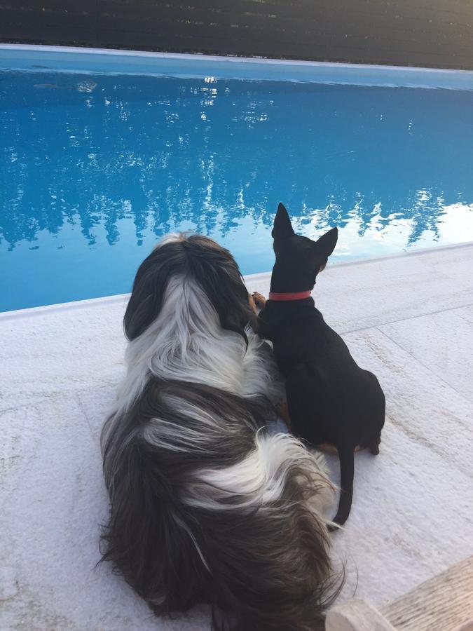 Villa Glyfada Spilia  Exteriér fotografie